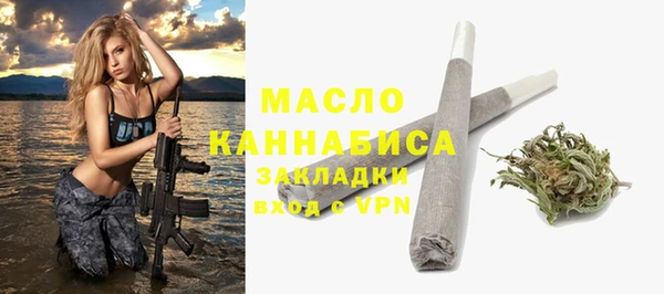 твердый Новодвинск