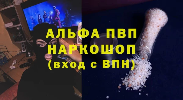 твердый Новодвинск