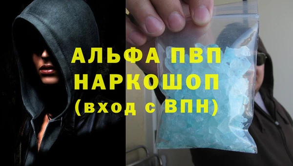 спиды Новозыбков