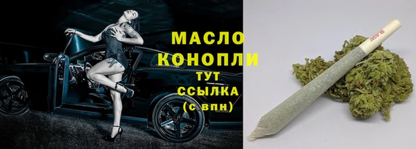 спиды Новозыбков