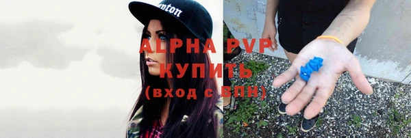 спиды Новозыбков
