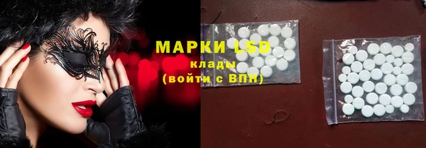 спиды Новозыбков