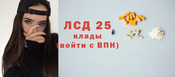 твердый Новодвинск