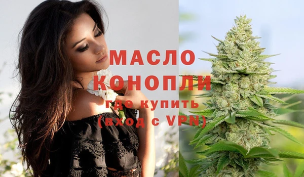 твердый Новодвинск