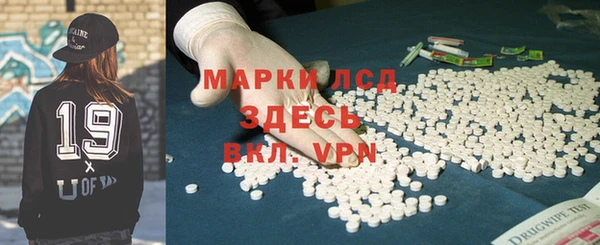 твердый Новодвинск