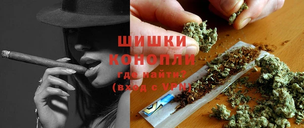 твердый Новодвинск