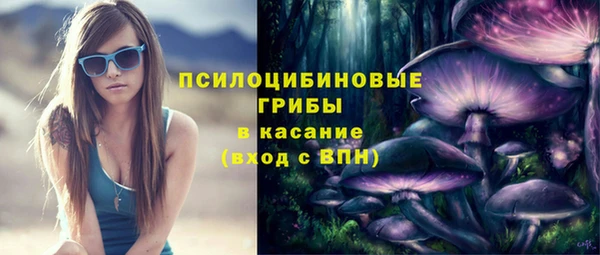 спиды Новозыбков