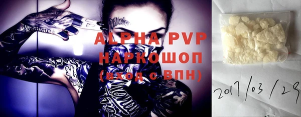 спиды Новозыбков