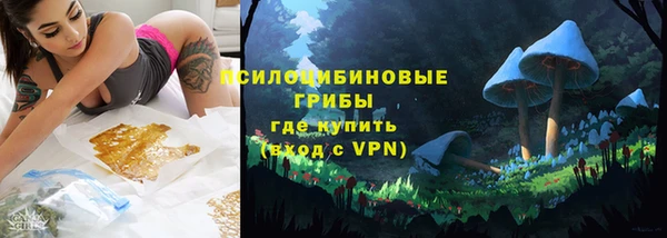 спиды Новозыбков