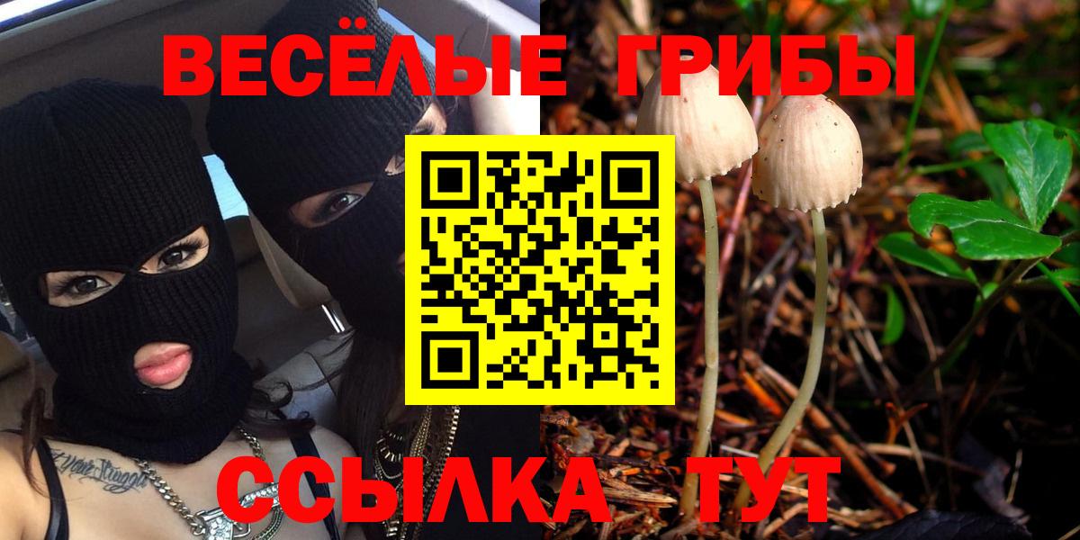 Галлюциногенные грибы Cubensis Краснознаменск