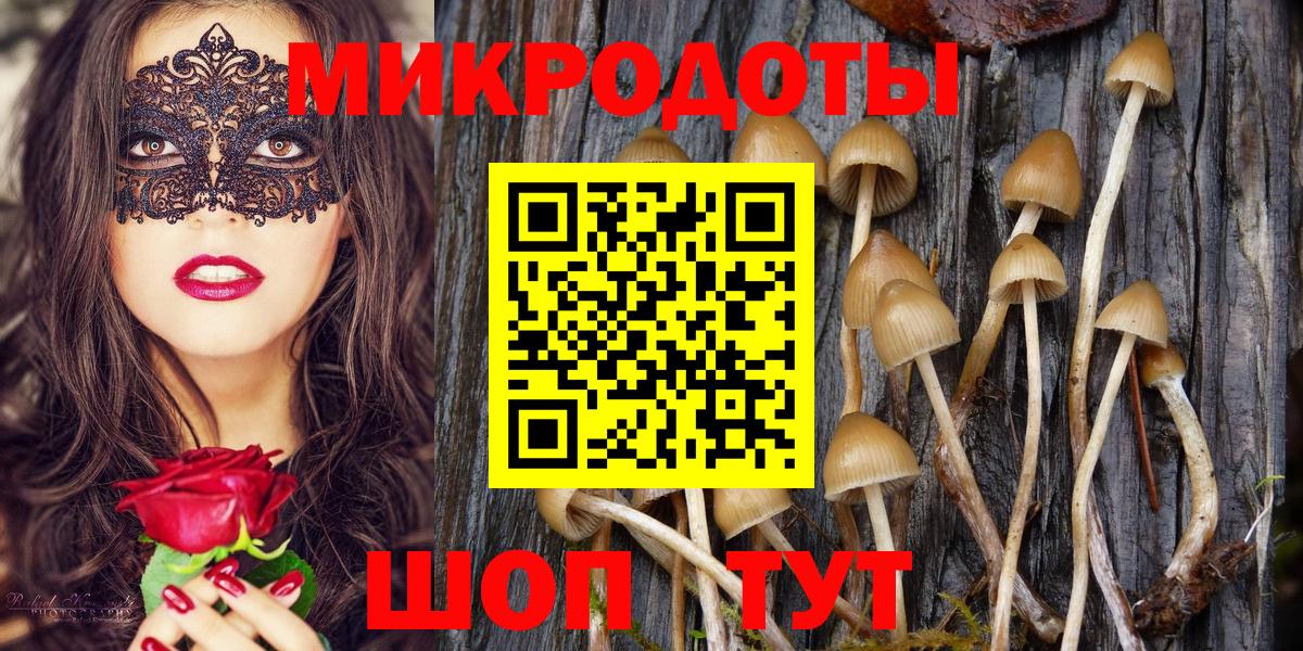 Псилоцибиновые грибы GOLDEN TEACHER  где купить   Псилоцибиновые грибы Psilocybine cubensis  Краснознаменск 